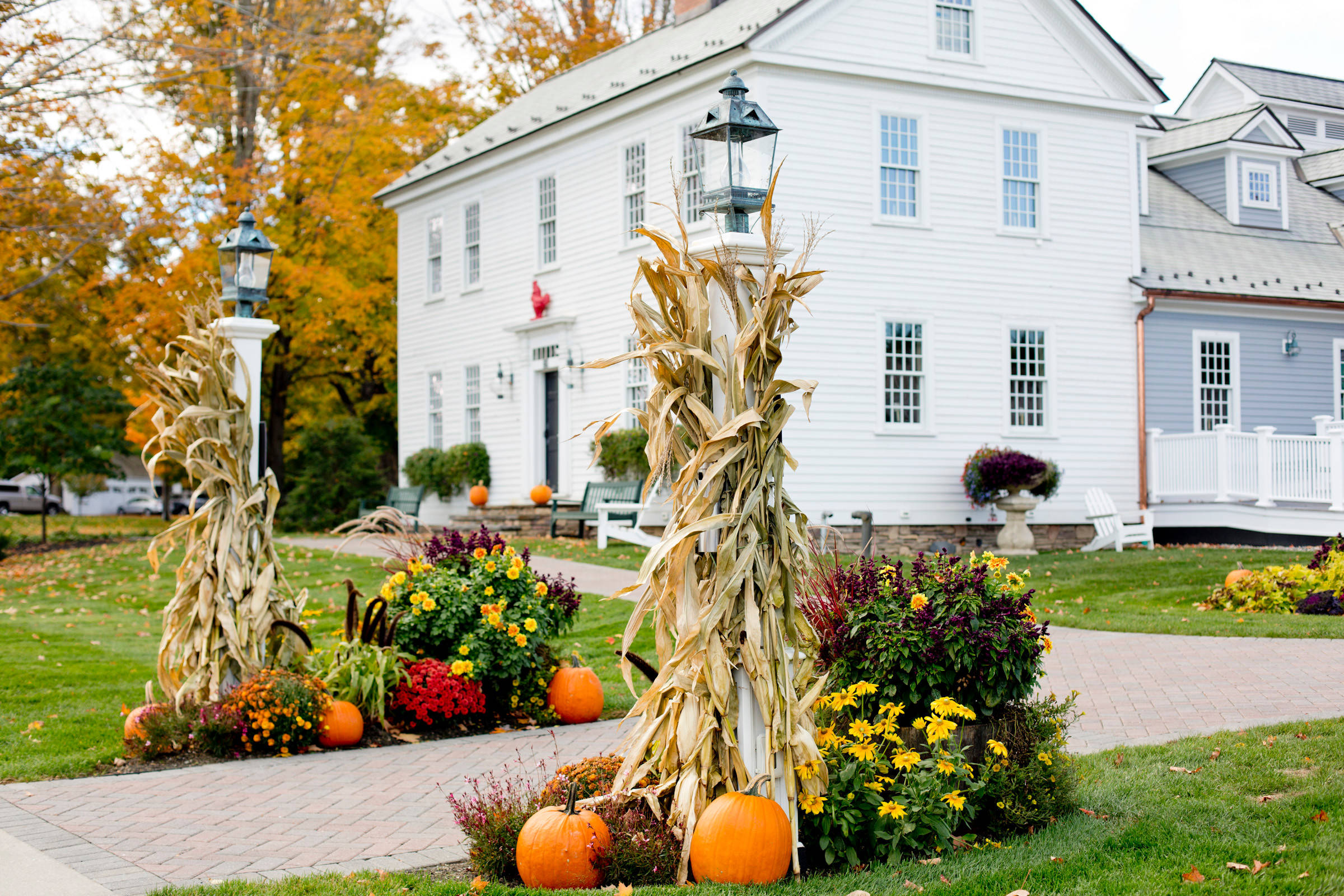 Фотоохота: 45 идей осенних кашпо