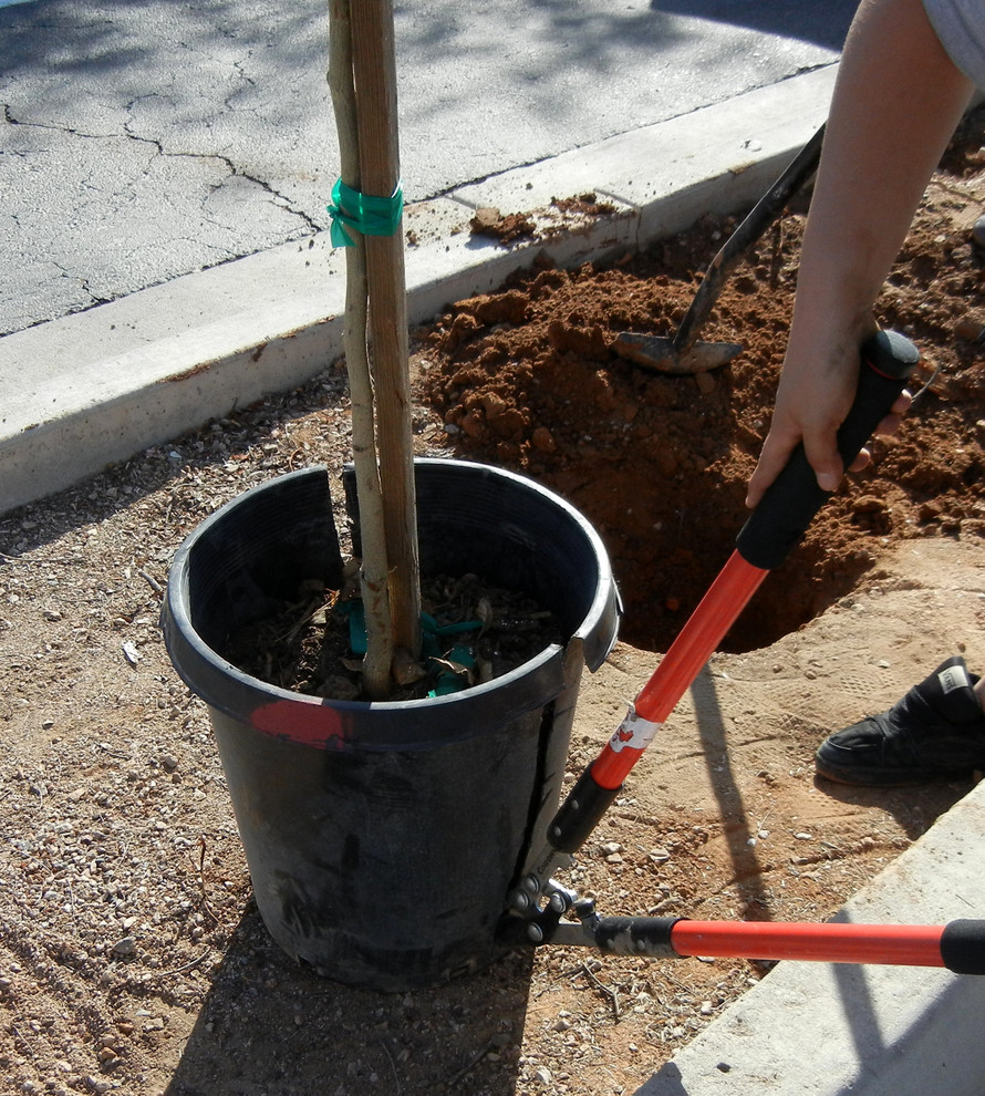 Весне дорогу: Садовый календарь на апрель