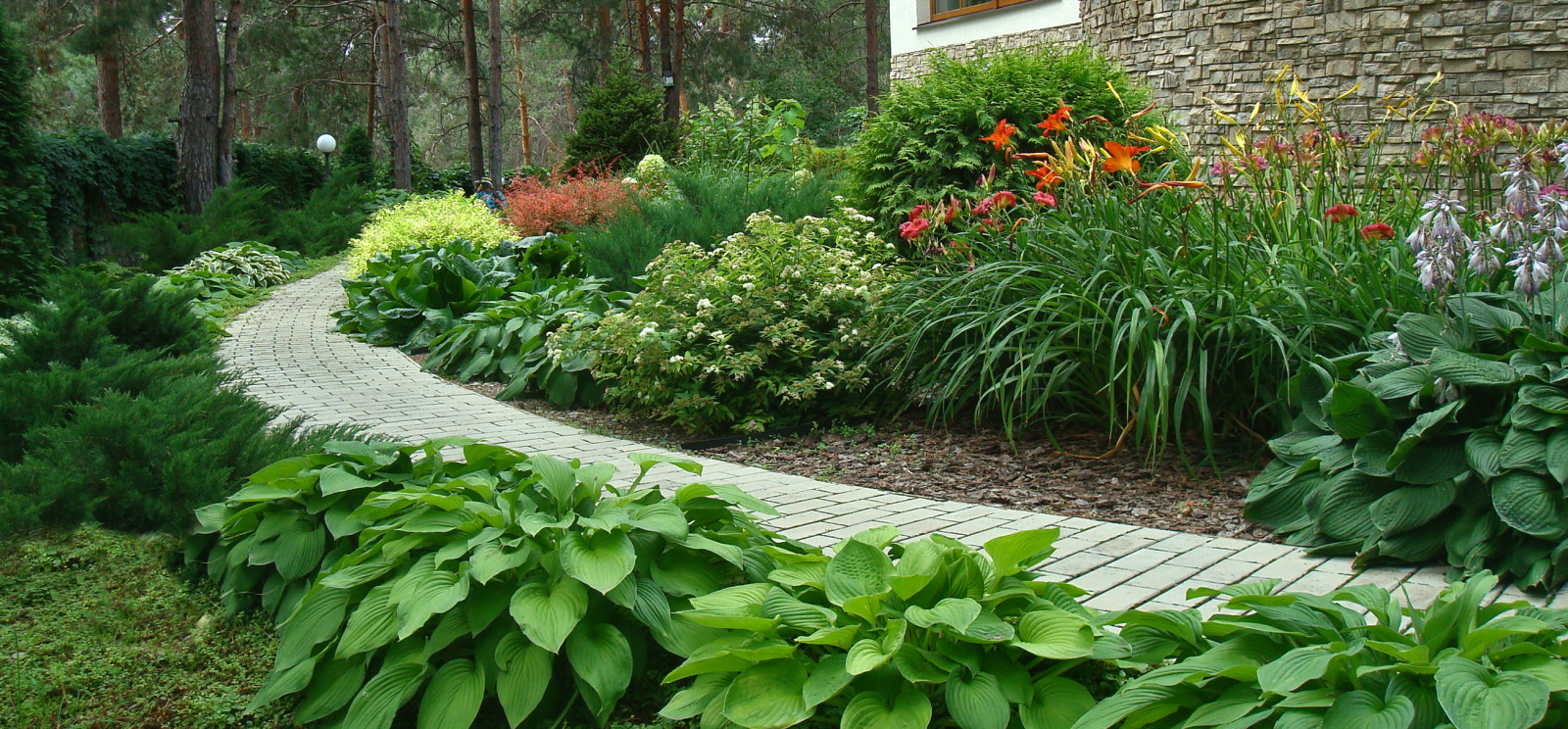 Обложка альбома: Сад