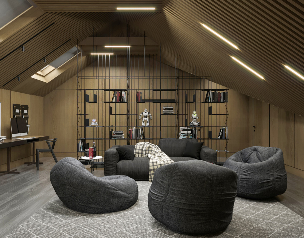 Комната подростка, чердак.