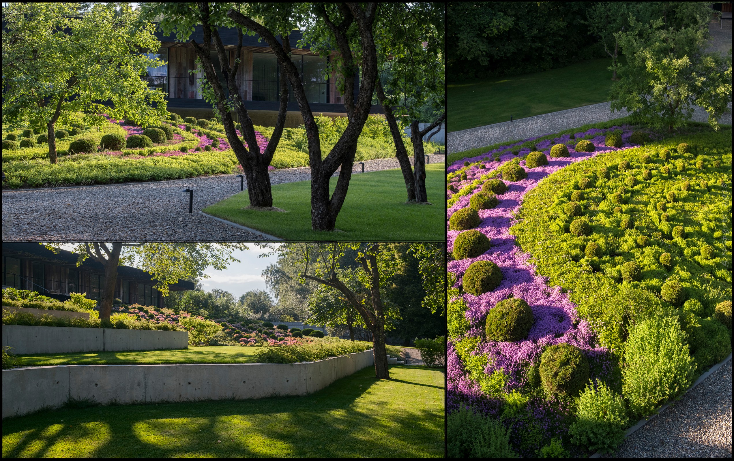 Обложка проекта: * * * * *