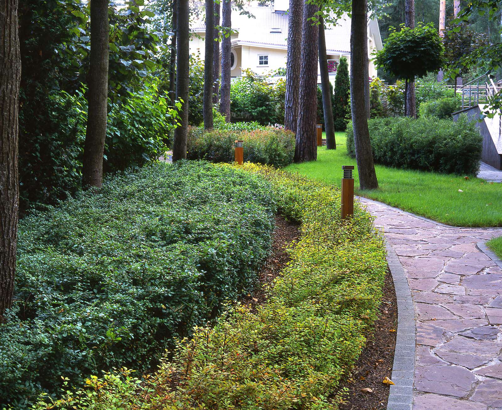 Николина Гора