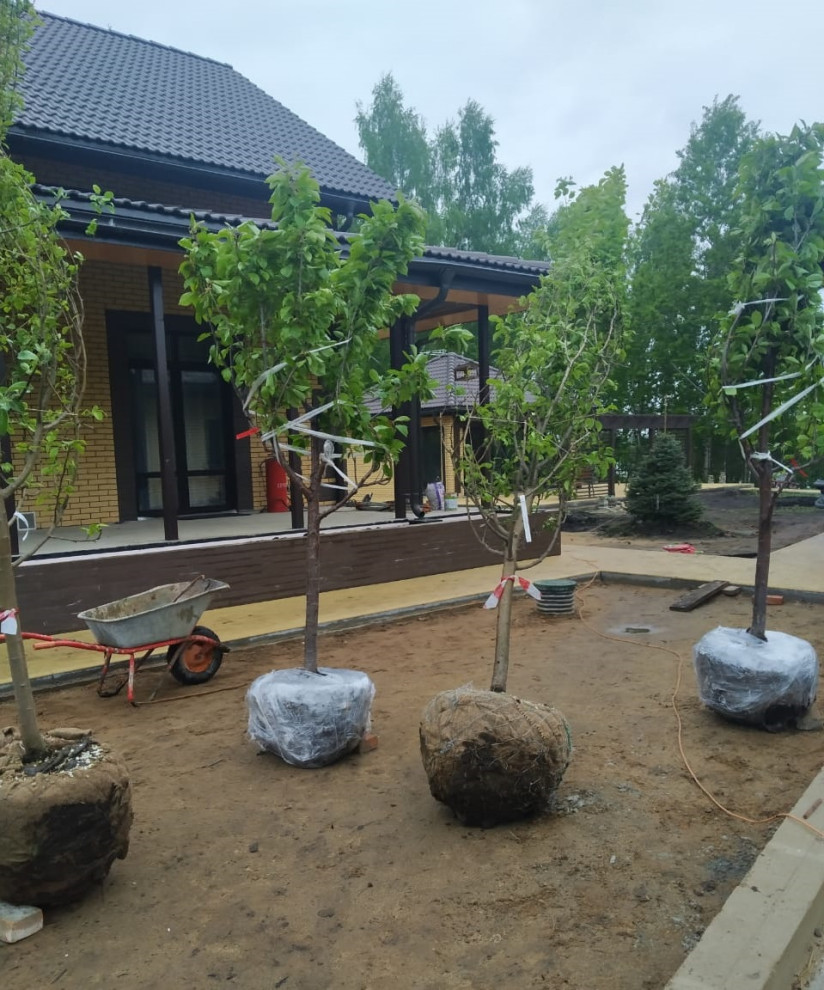 В работе 2022 и старше