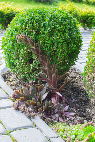 Проект недели: «Сад парфюмера» под Калининградом