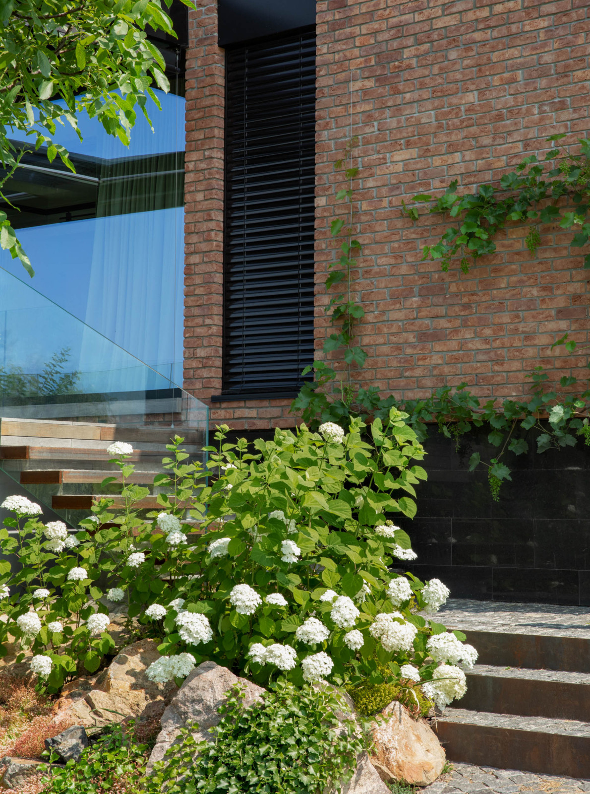 MRIIA HOUSE