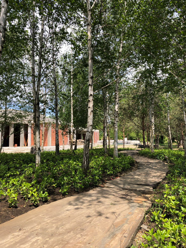 Березовая роща