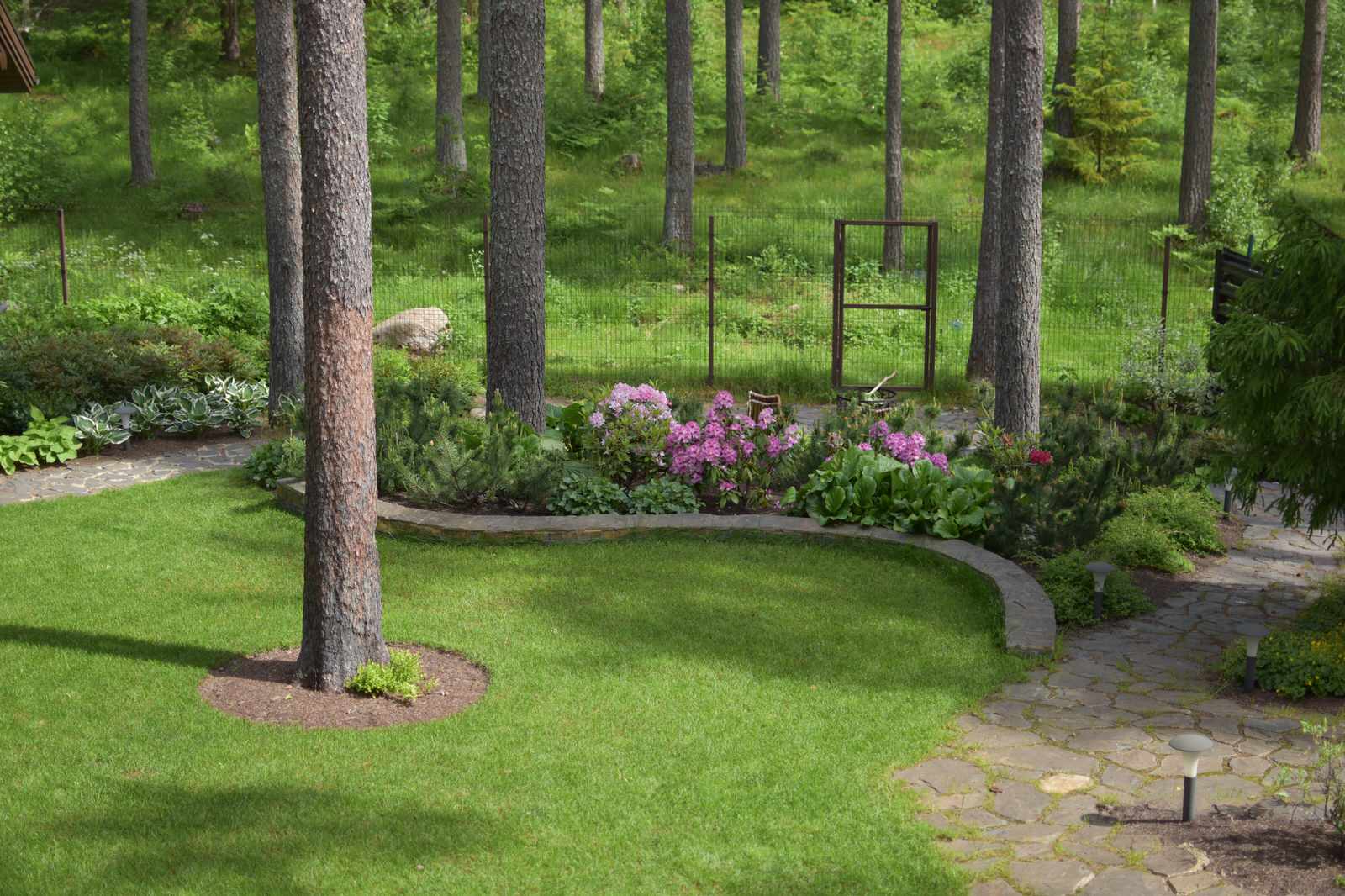 Сад в Карельском лесу