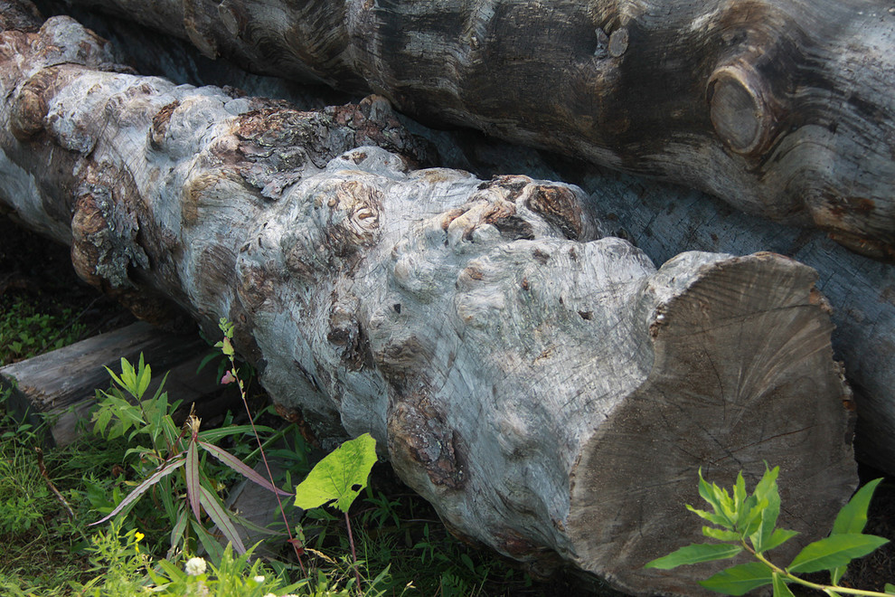 Производство и заготовка