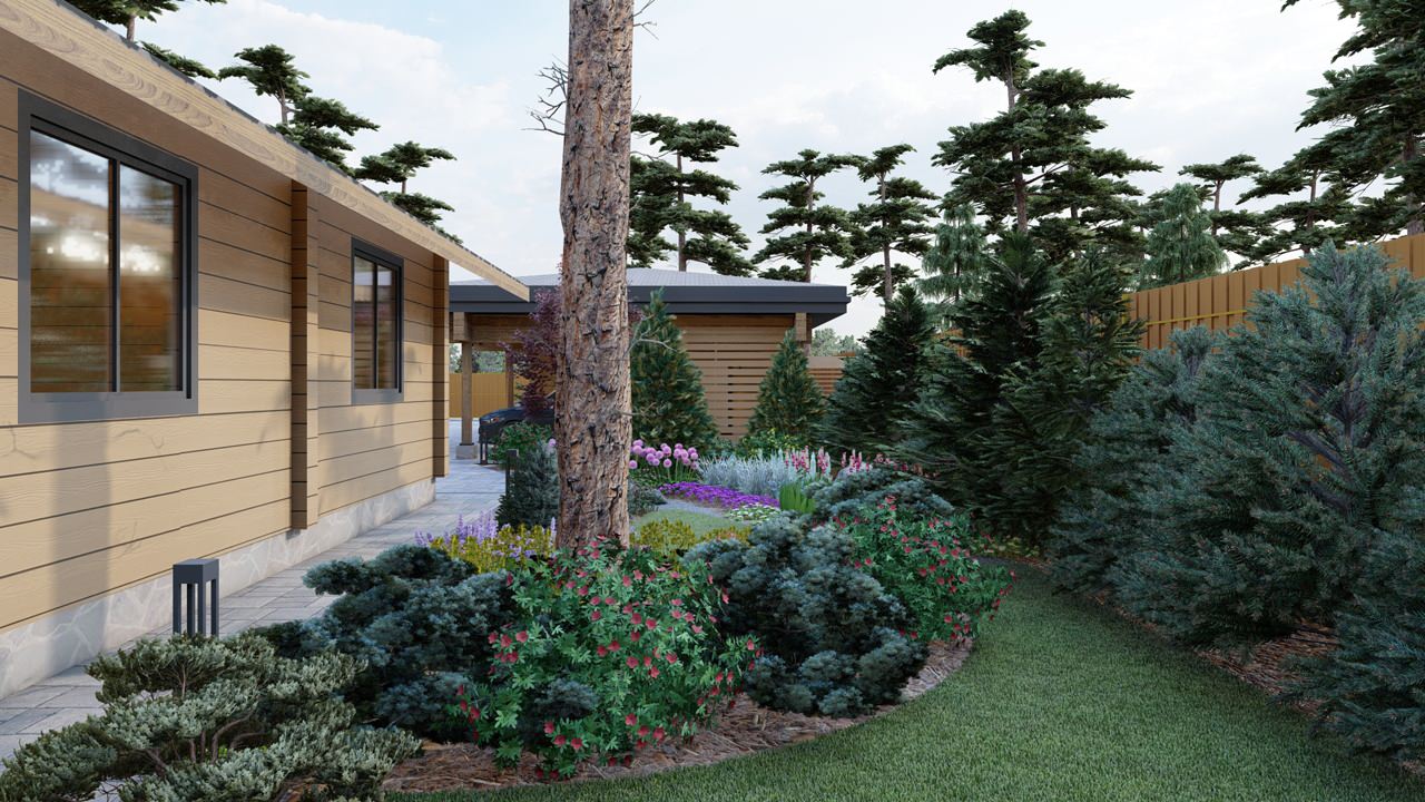 Сад в сосновом лесу