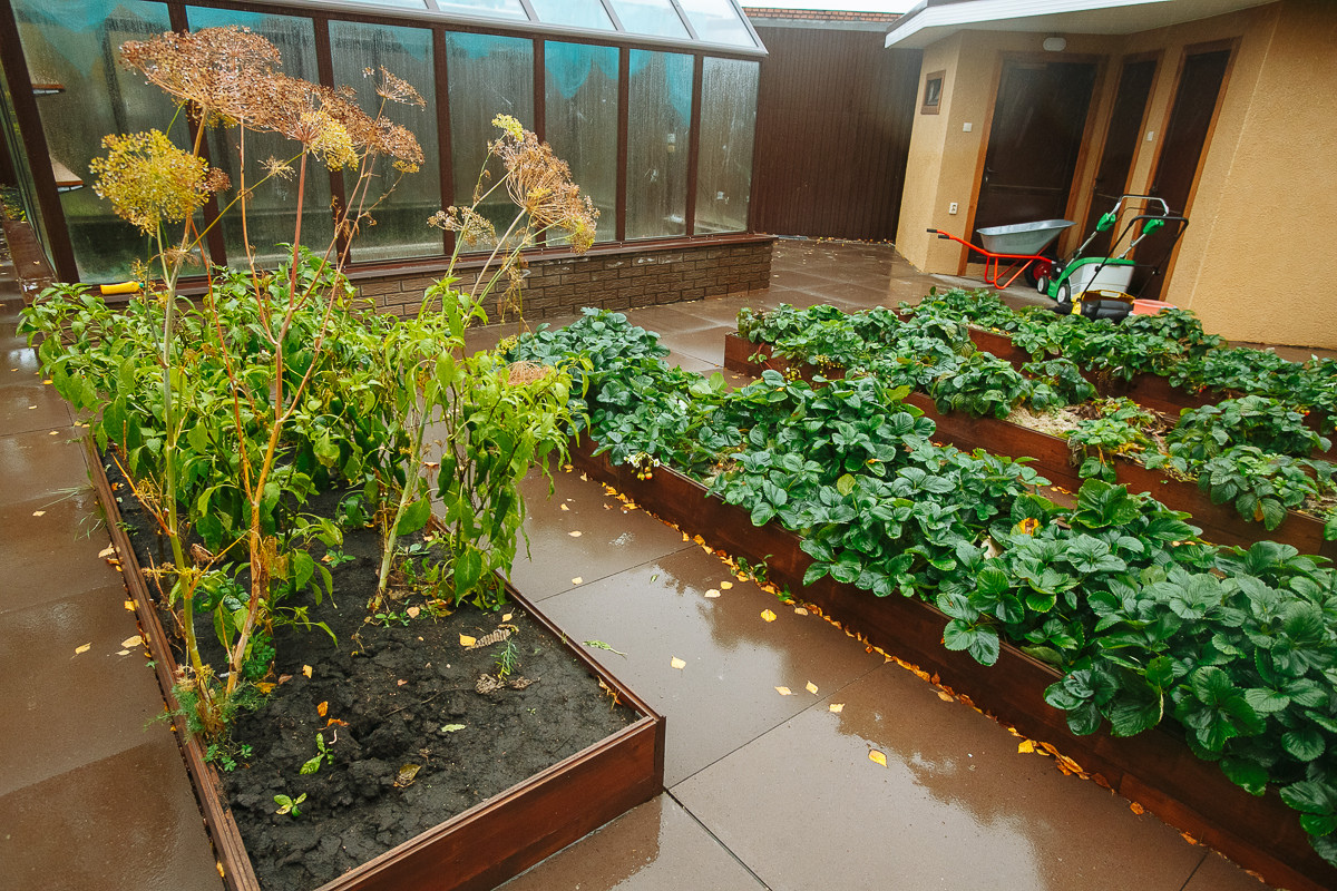 Сад с румянцем