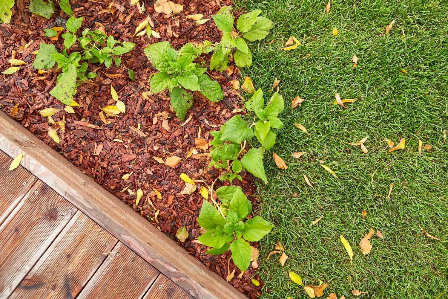 ЖК "Южные кварталы" Офис продаж