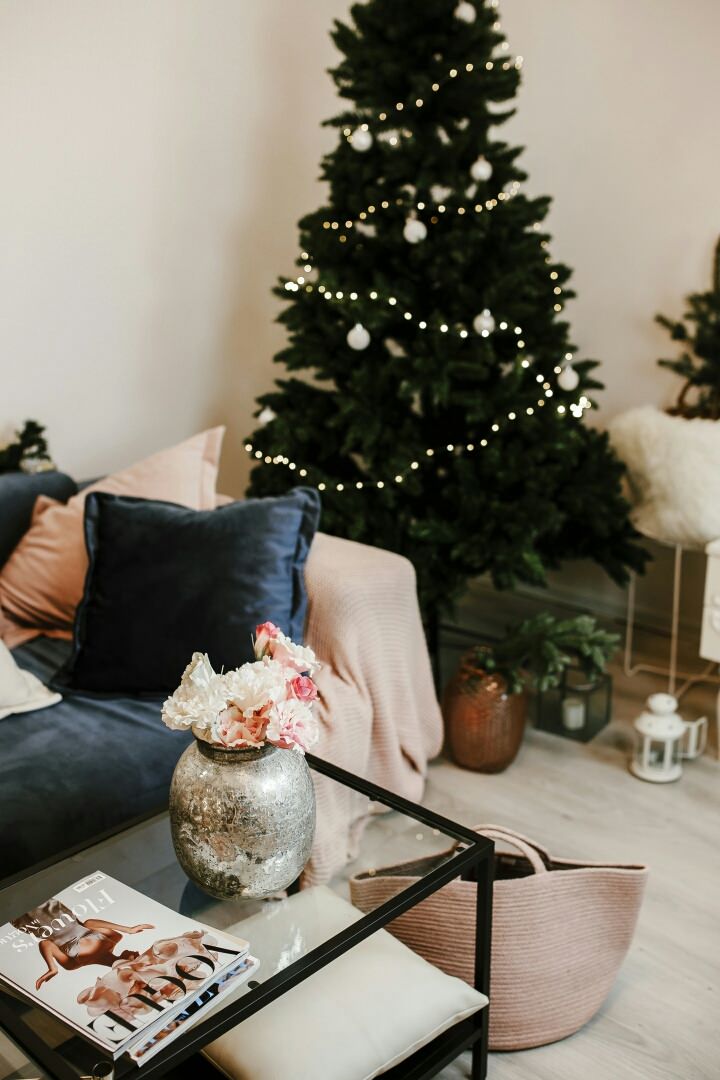 Фоновое изображение профиля Ветрова Екатерина