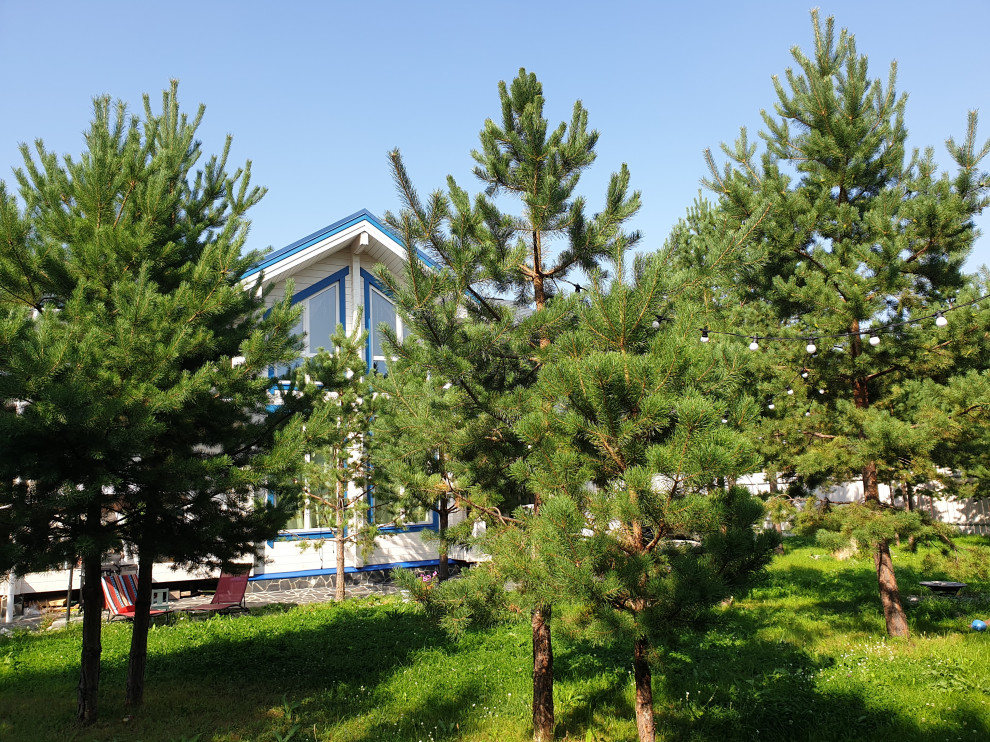 Дом архитектора _экстерьер