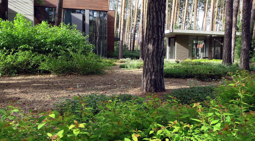 Лесные дорожки, явные и неявные