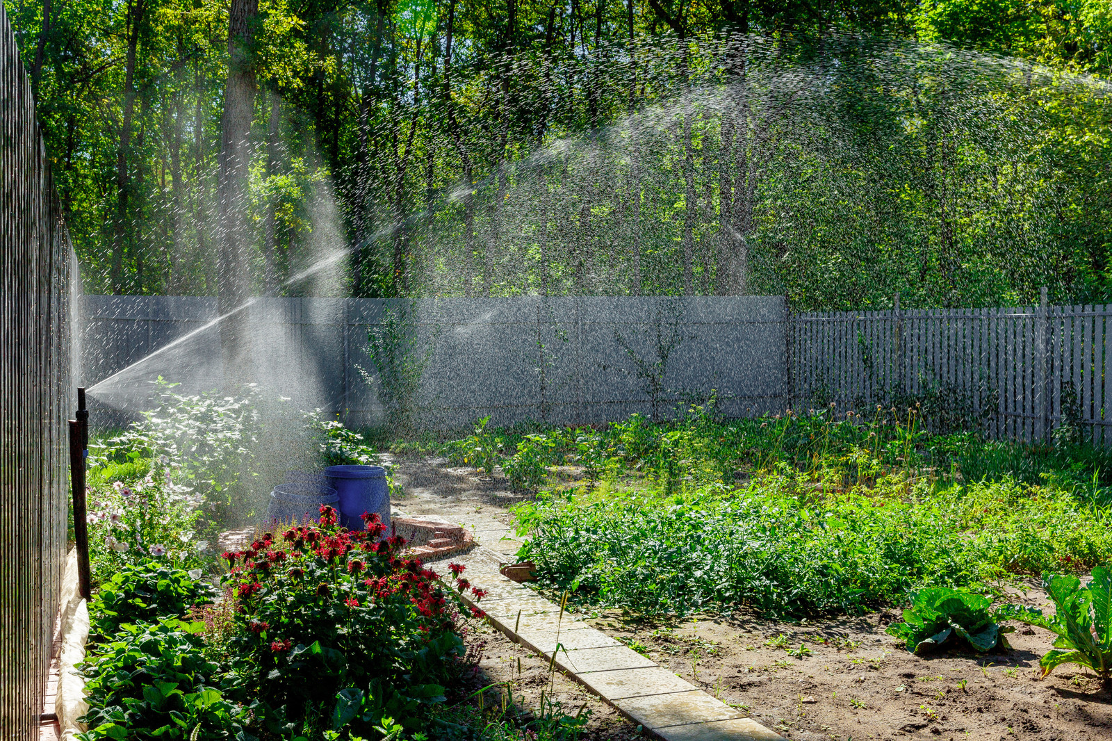 Системы автополива
