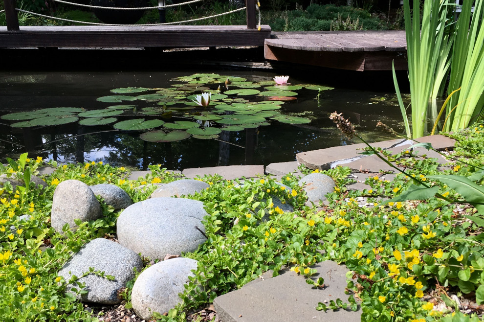 Белкин сад. Лето 2019