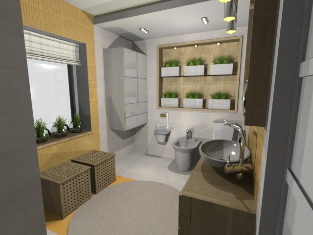 Обложка проекта: Сан.узел в частном доме