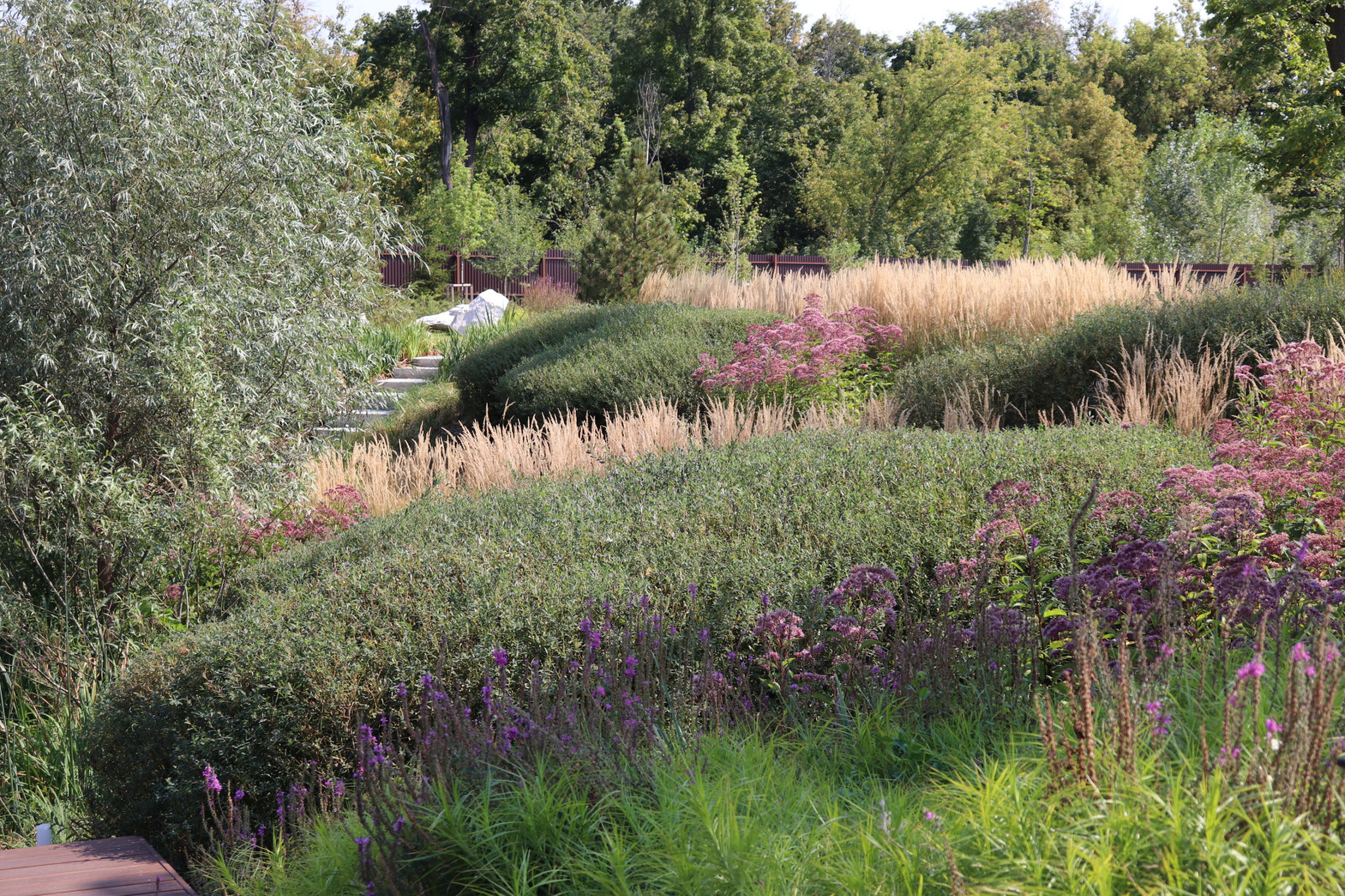 Обложка проекта: WB Берег пруда (август)