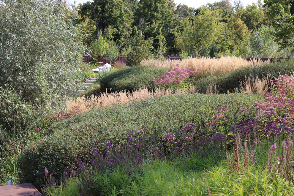 Обложка проекта: WB Берег пруда (август)