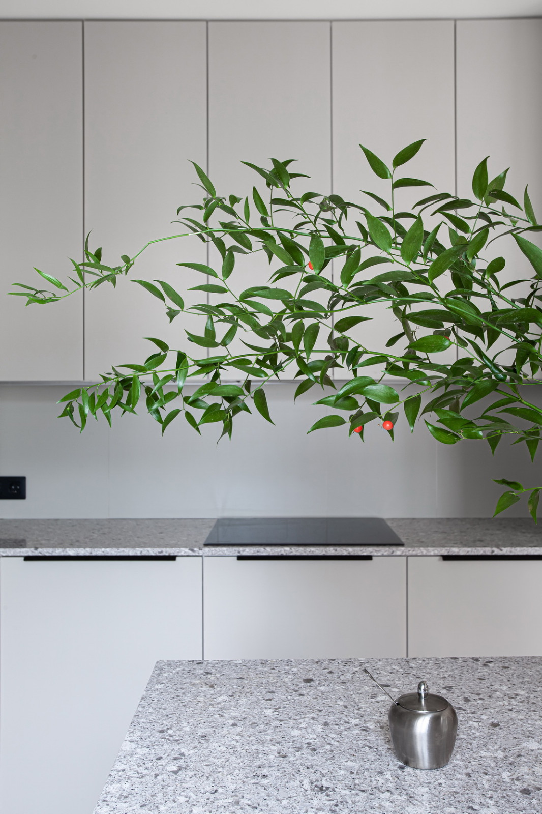 Квартира в центре Петербурга