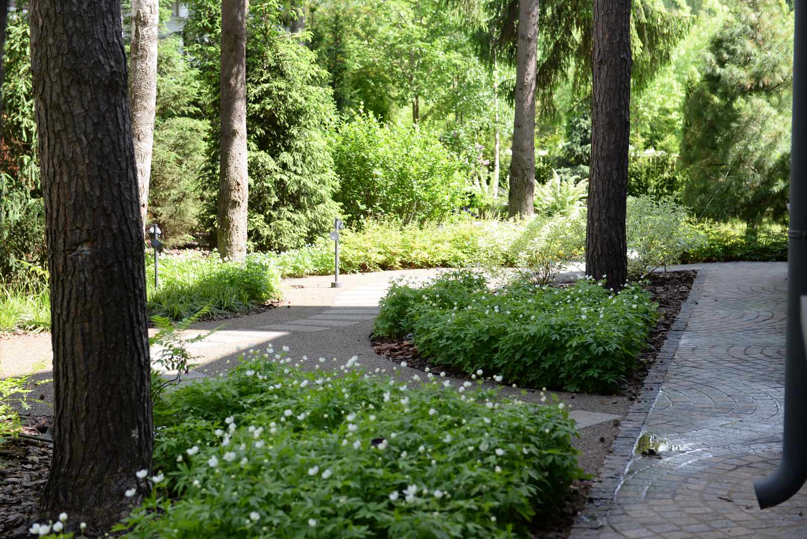 Новогорск 2021