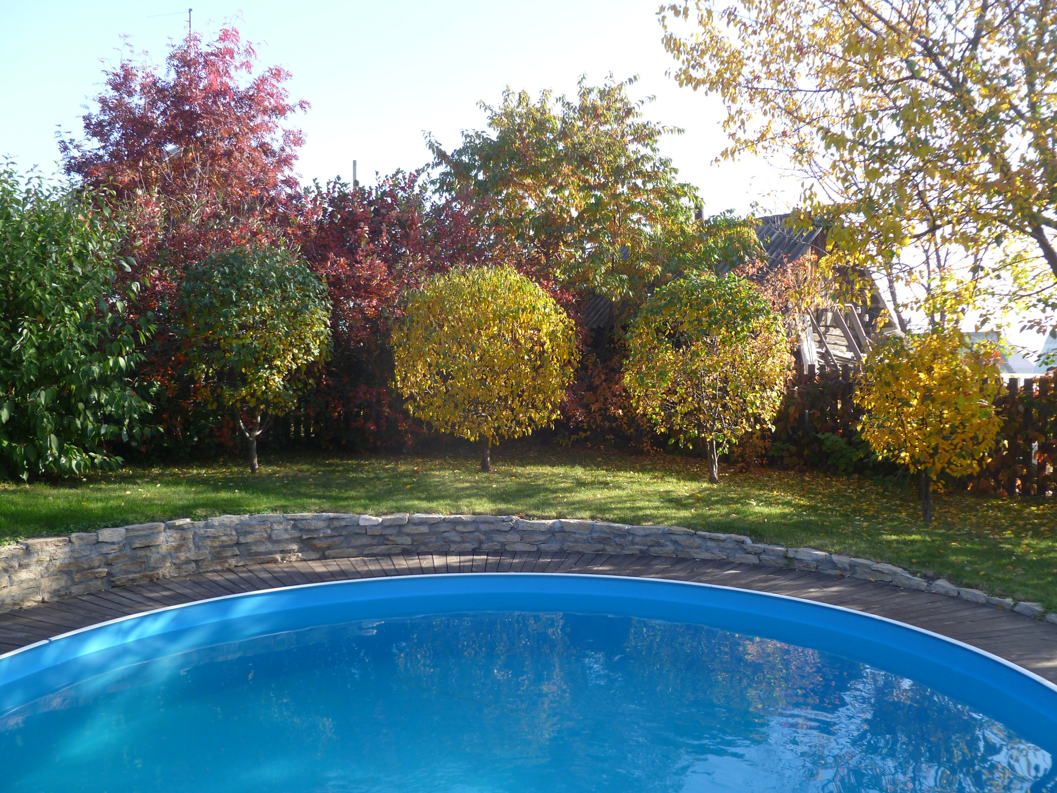 Бассейн в саду