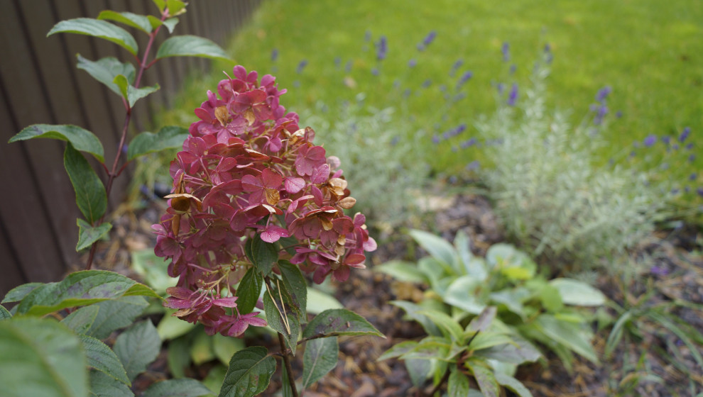 Летняя квартира (п. Удельная)