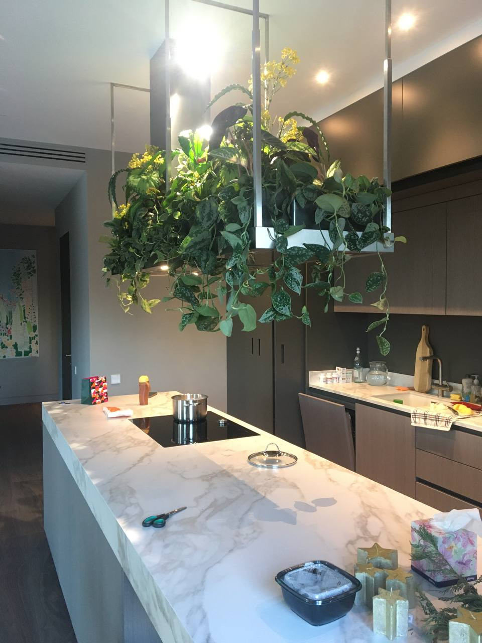 Озеленение квартиры МОСФИЛЬМОВСКАЯ