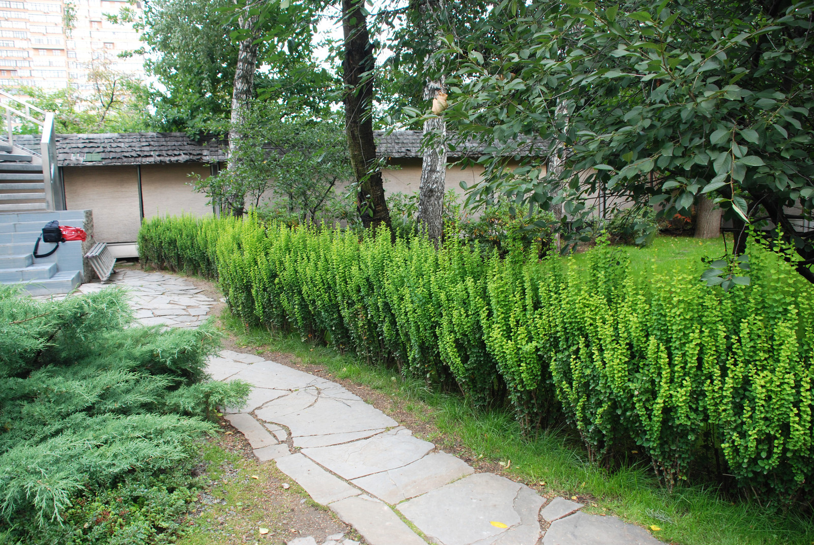 Стильный сад в КП "Поселок Художников"