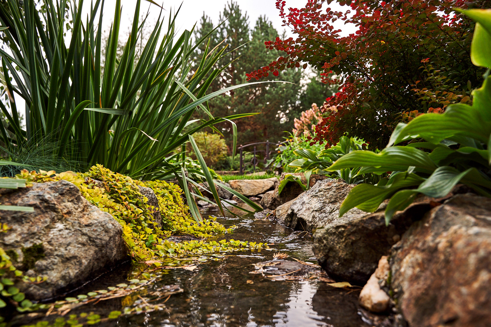 Простор и комфорт загородной жизни