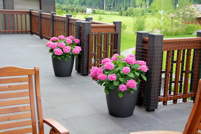 сервис и уход за растениями