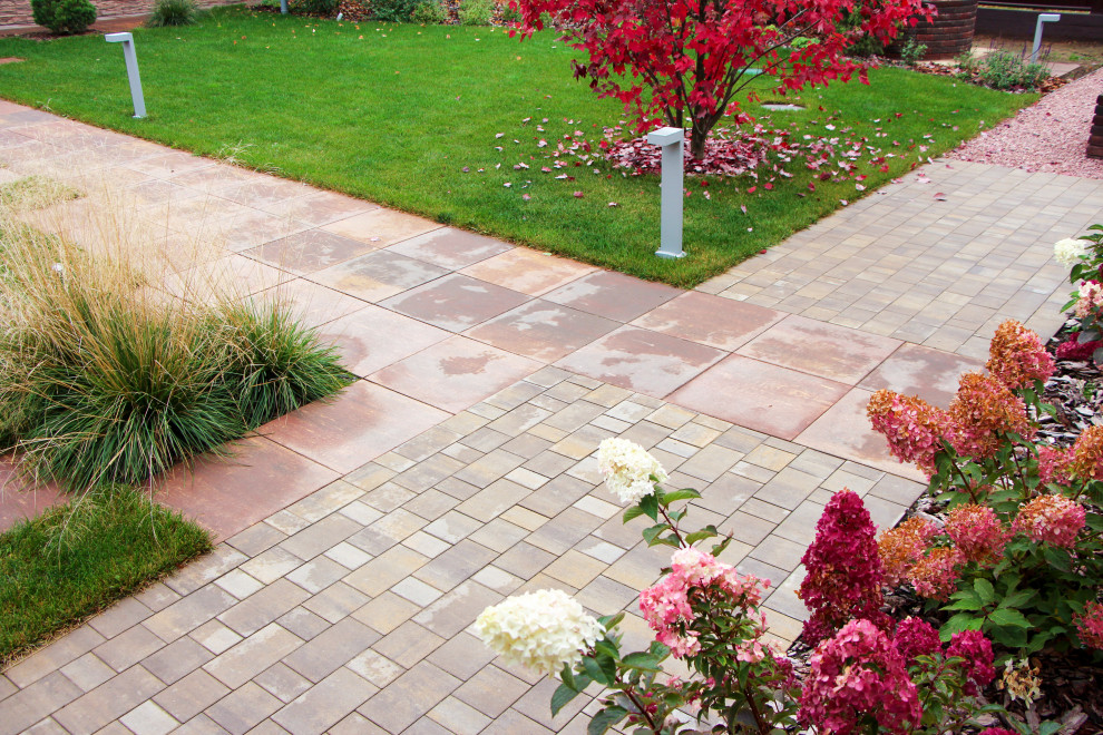 Петровское, 2018-2020 гг.