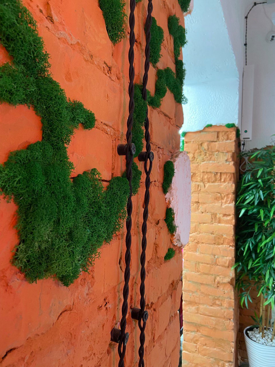 HAIR STUDIO OLGA ORLOVA