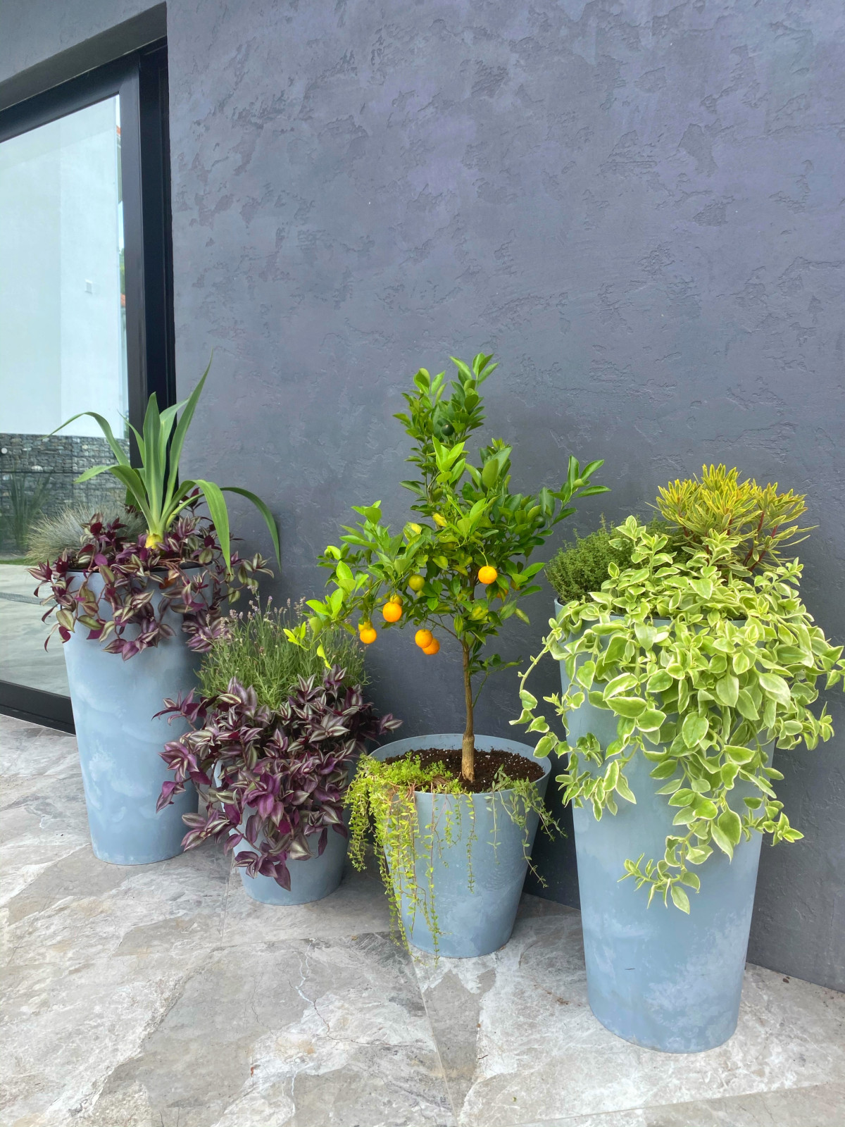 Обложка проекта: Мой проект