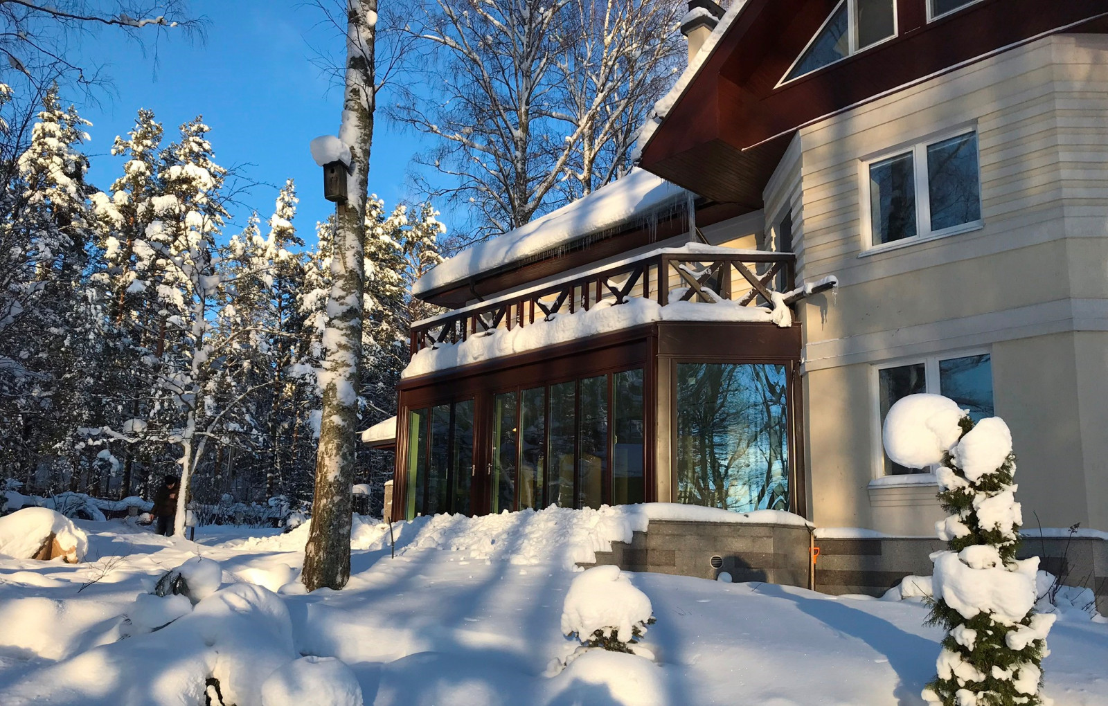 Зимний сад на берегу лесного озера