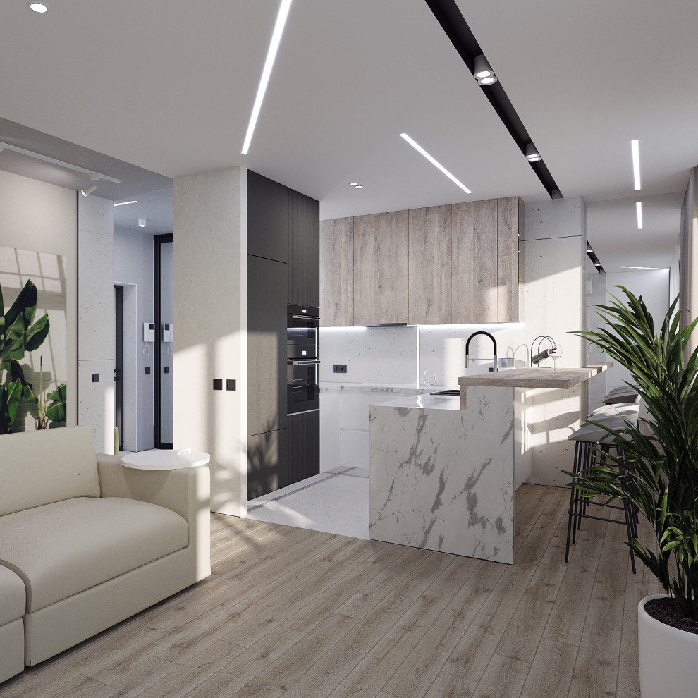 APARTMENT INTERIOR PROJECT 64 M2