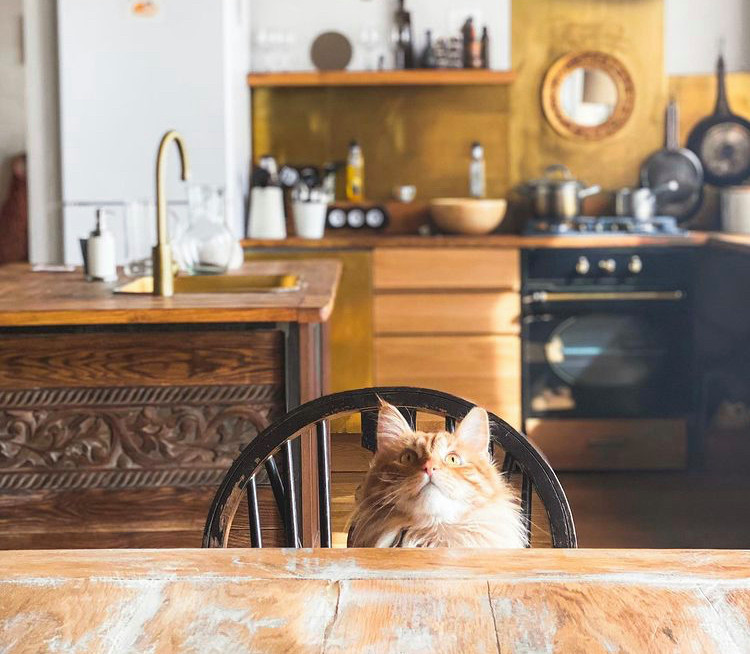 В гостях: Резиденция, как на Бали, только в Санкт-Петербурге