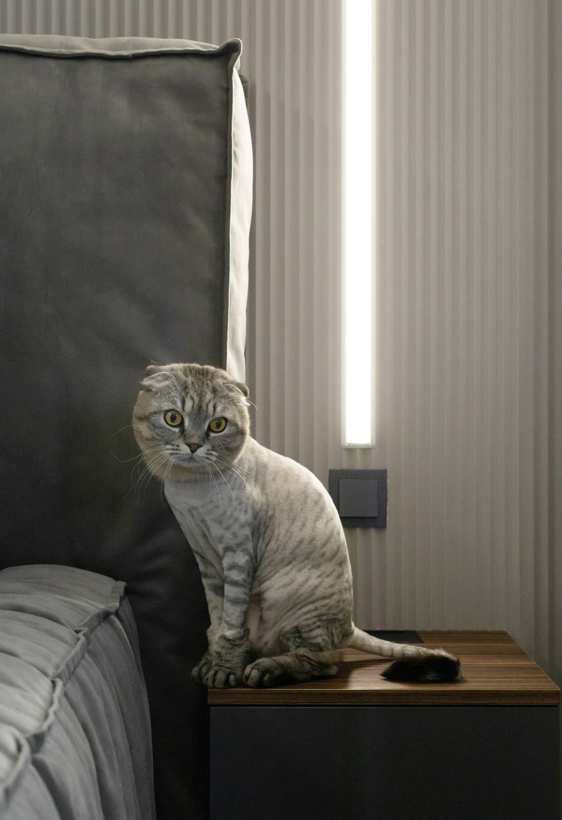 Полная меблировка квартиры ЖК «Прогесс»