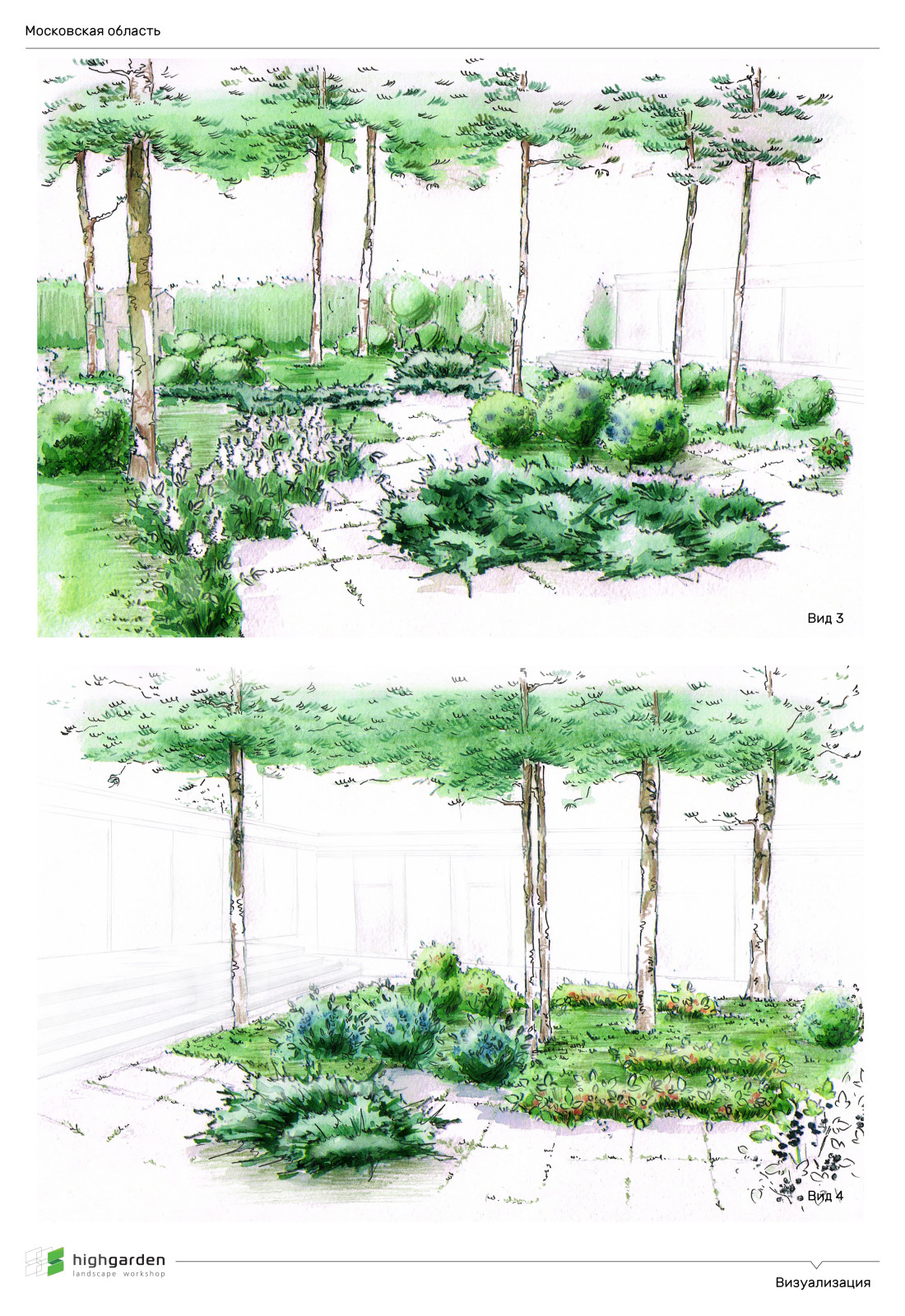 Визуализация