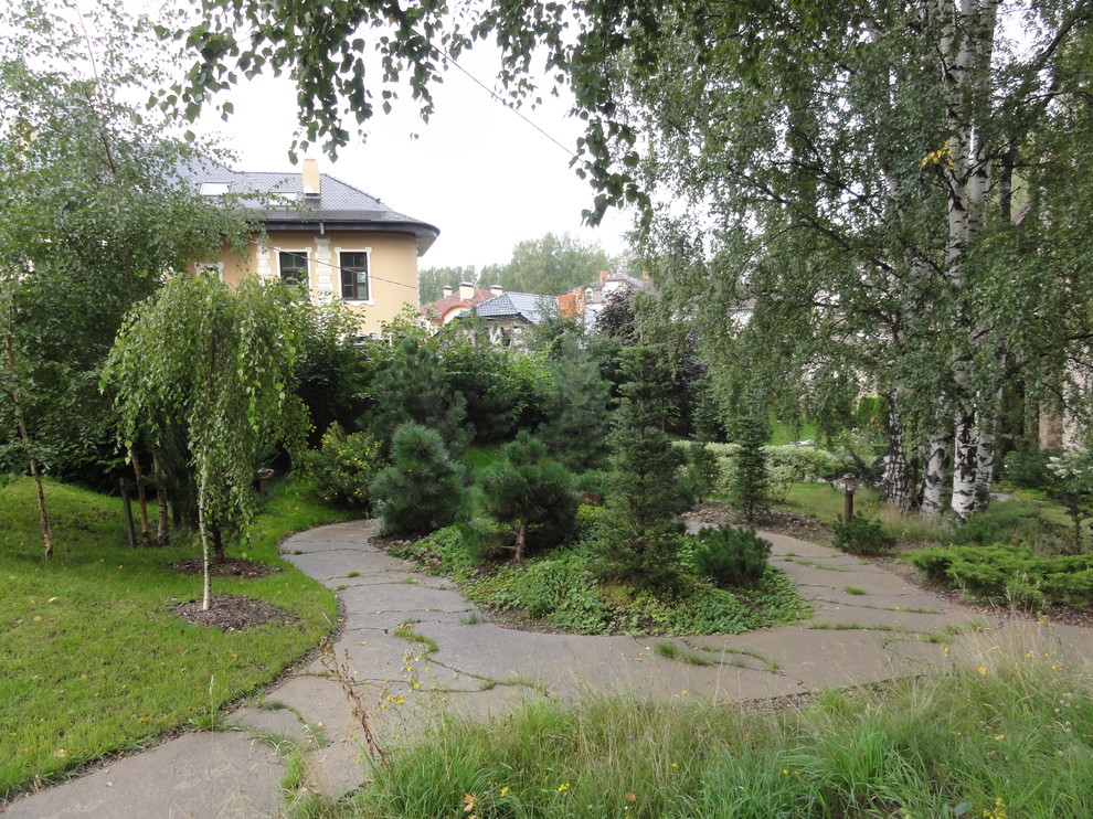 березовая роща