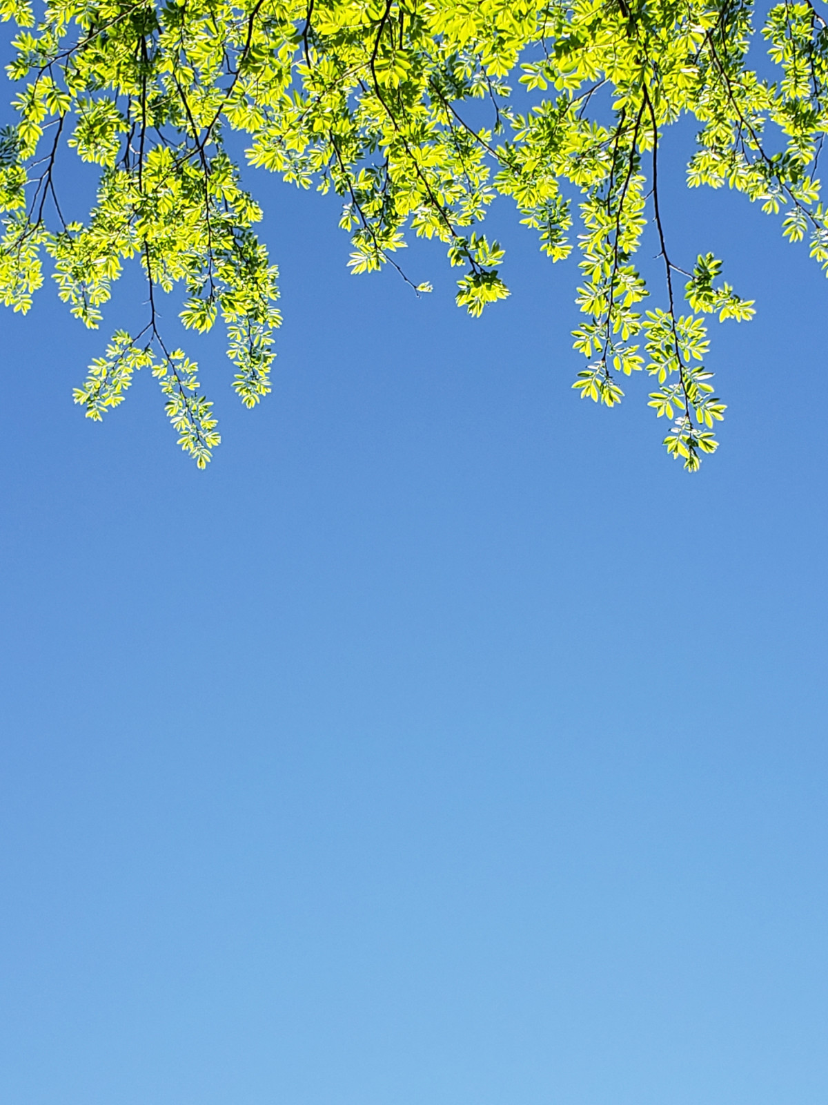 Houzz call: Покажите нам апрель из своего окна