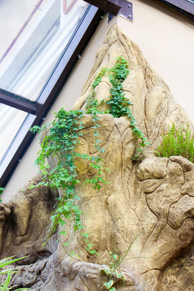 Тарасовка, зимний сад, 2012-2013 гг.