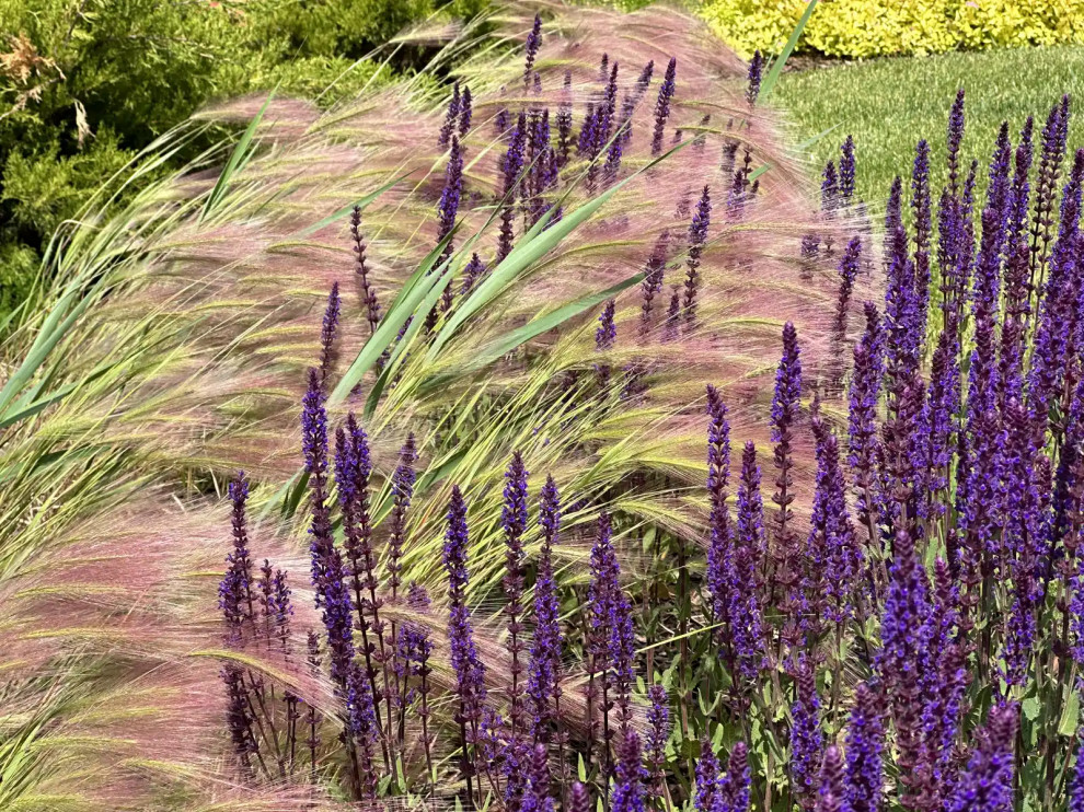 «НА ЗАПОВЕДНЫХ БЕРЕГАХ»