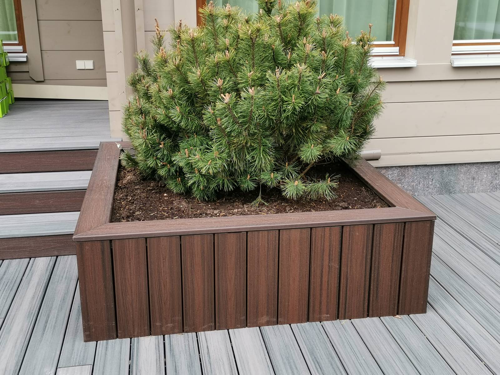 Террасы у дома в лесу