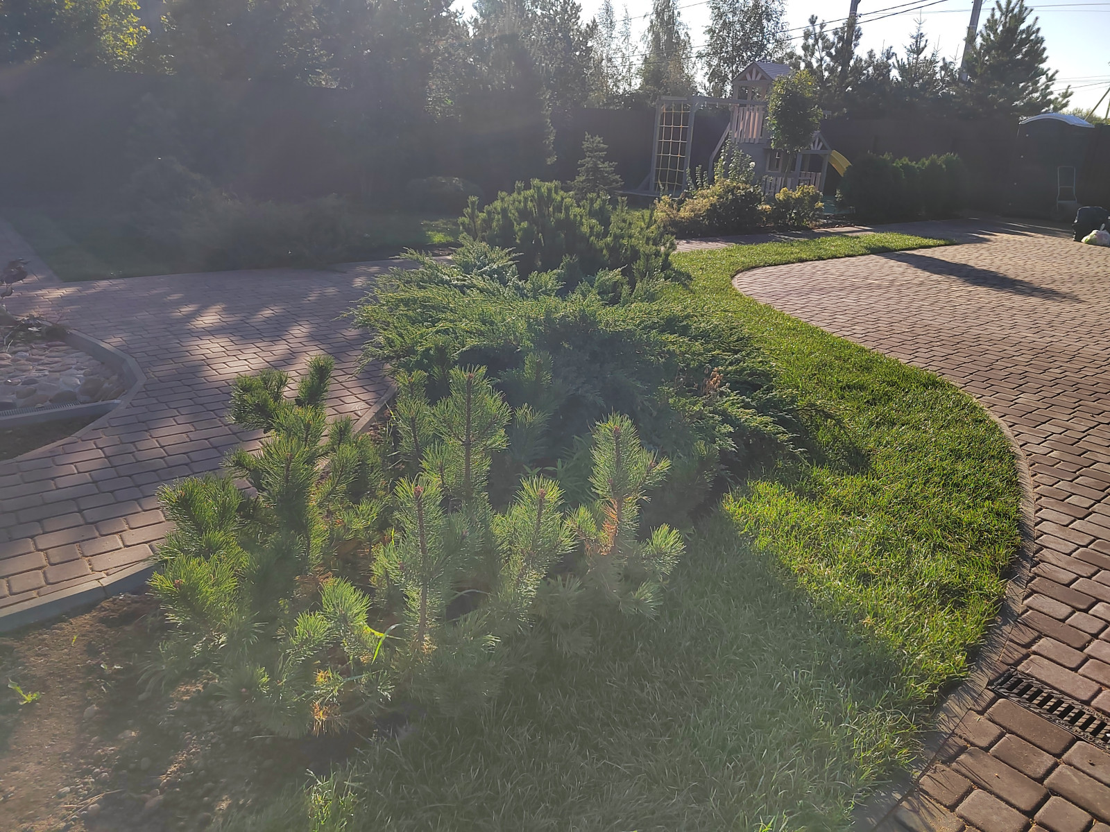 д. Яльгелево