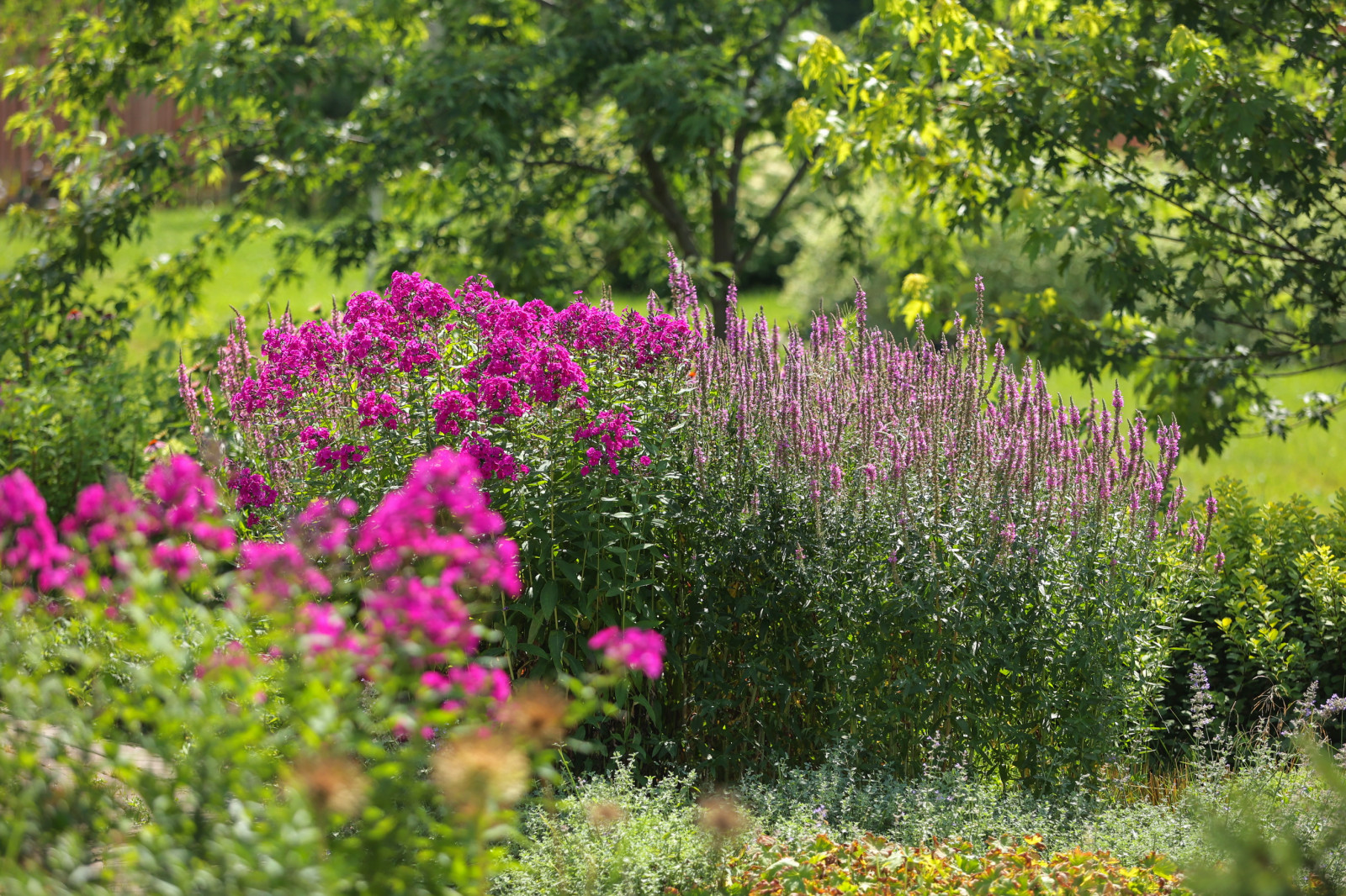 В гостях: Переделка природного сада у каскада прудов