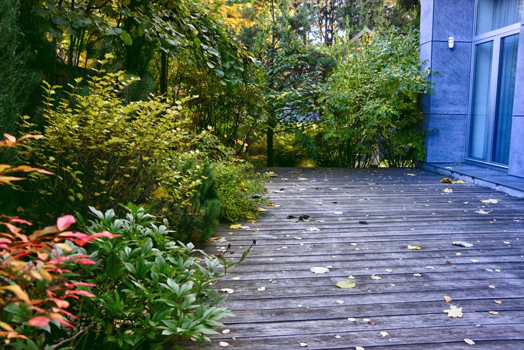 гравитация