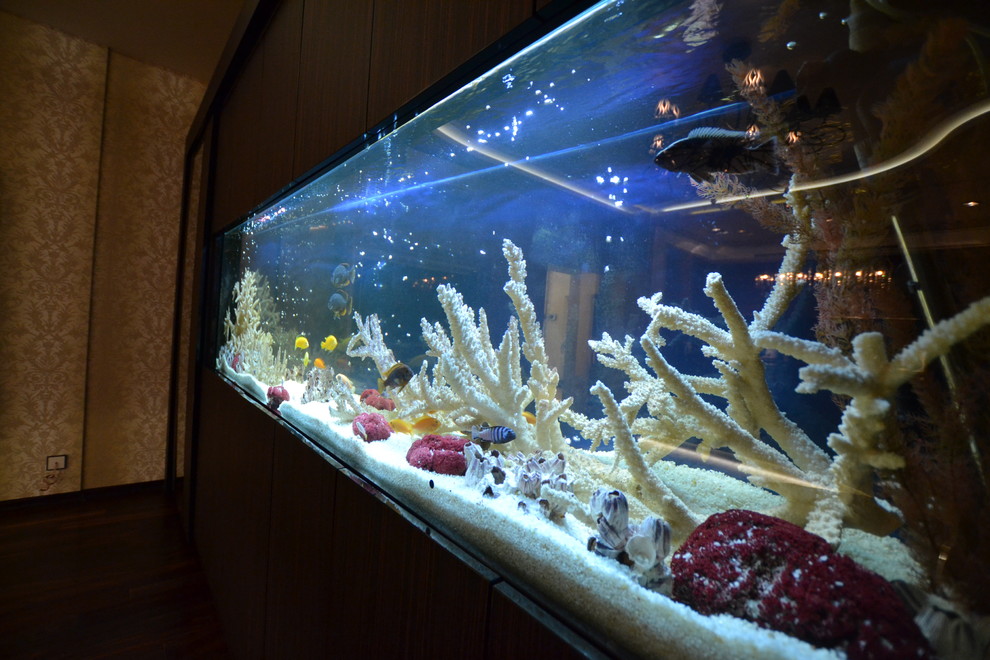 Инна Полева