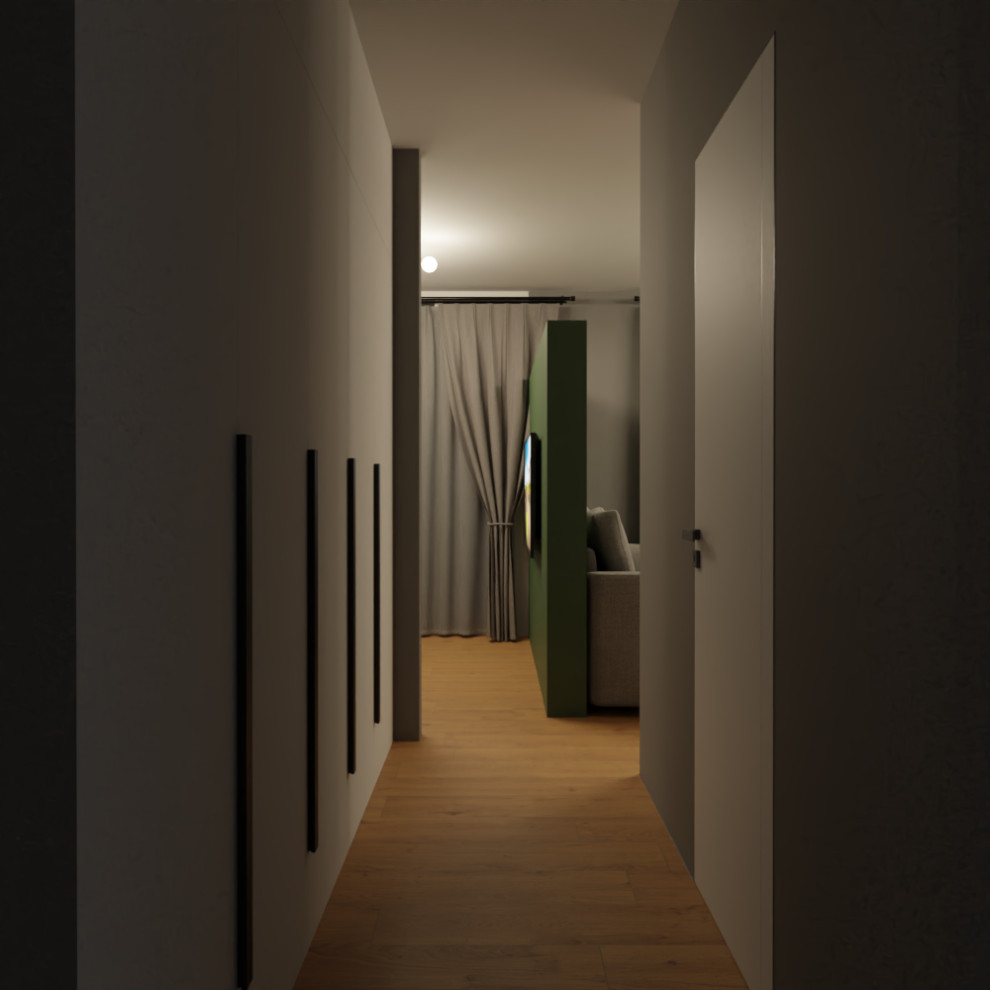 Обложка проекта: Визуализация трех типовых квартир под сдачу в аренду