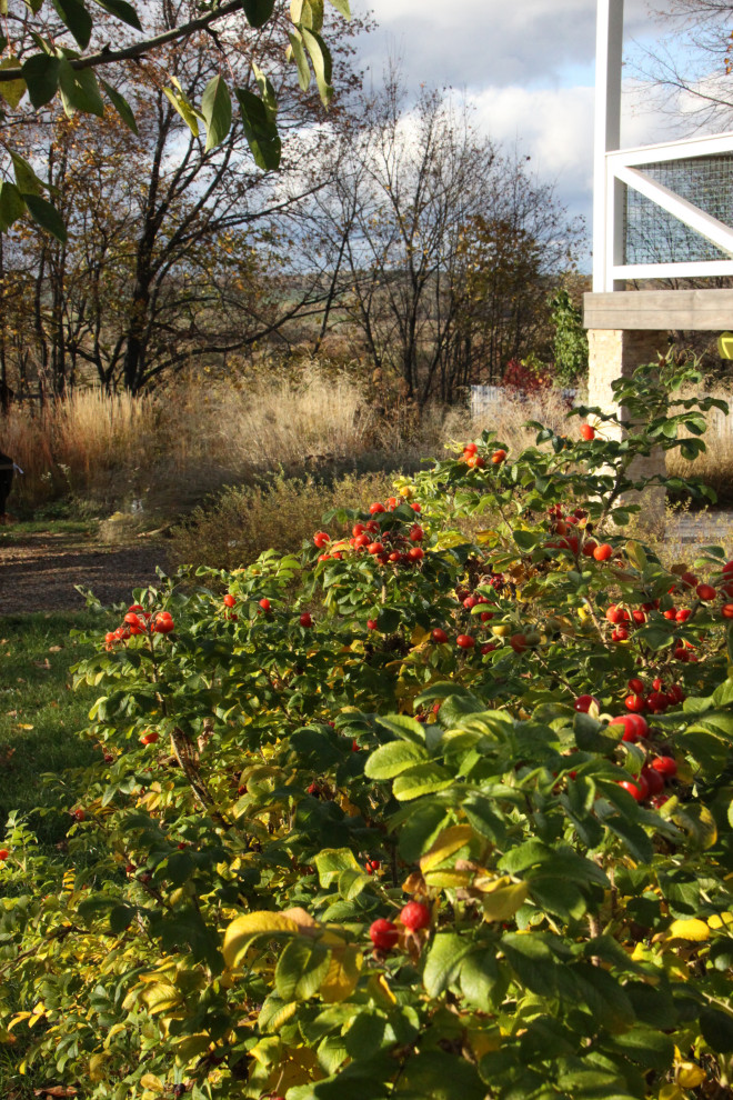 Обложка проекта: Сад "В духе ретро"